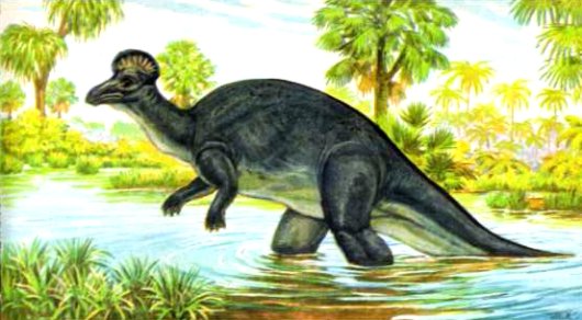 Corythosaurus