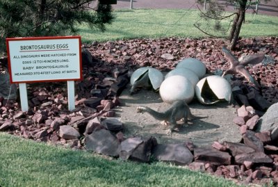 Brontosaurus Eggs